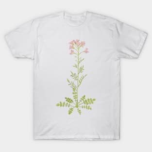 Cuckoo flower / lady's smock T-Shirt